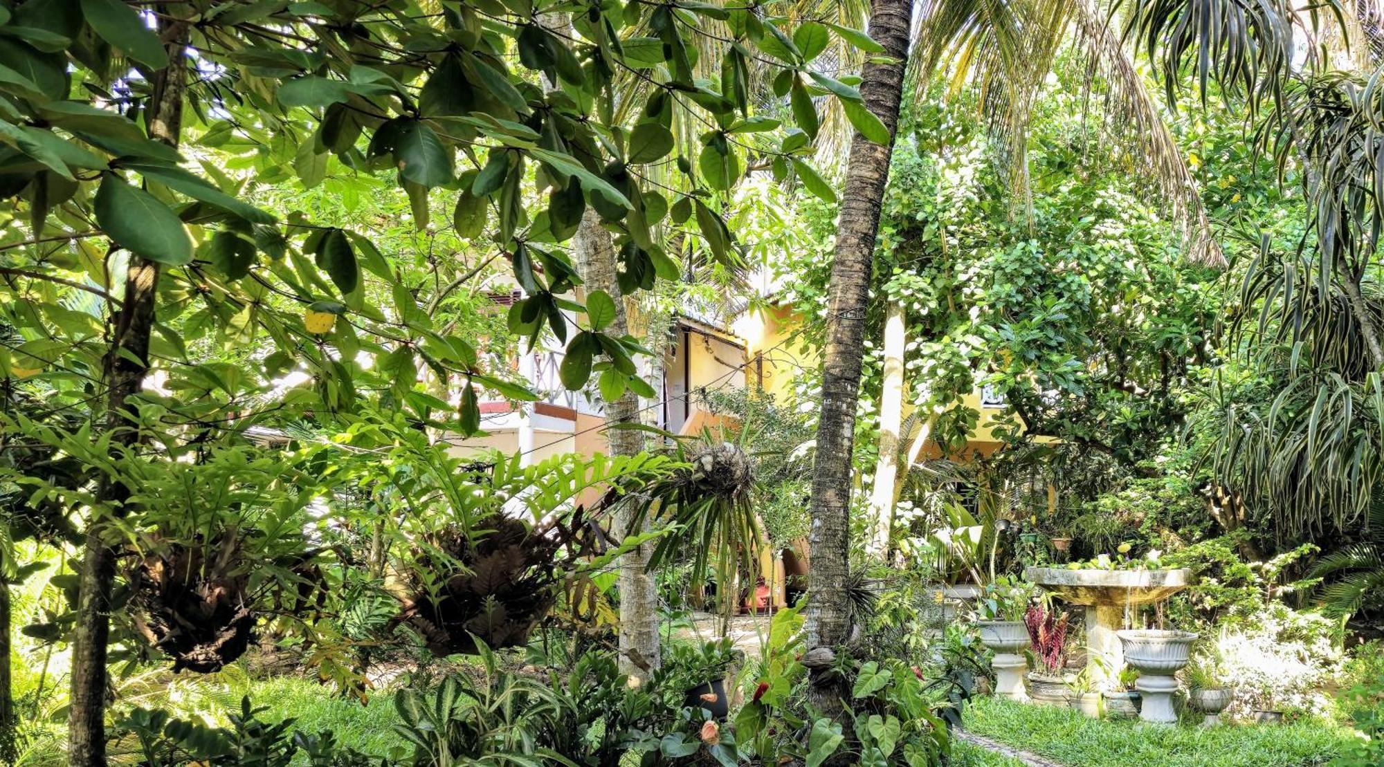 Seashore Mirissa Extérieur photo